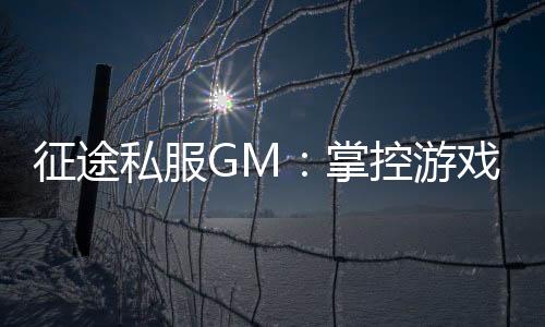 征途私服GM：掌控游戏命运